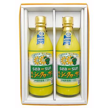 RV[N[T[ꌧYʏ`100@500ml~2{Zbg@