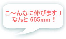 `ȂɐLт܂I Ȃ 665mmI 