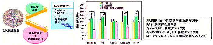 作用メカニズム解明