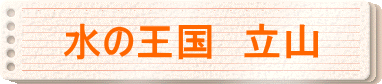 ̉@R