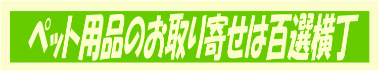 ybgpî񂹂͕SI
