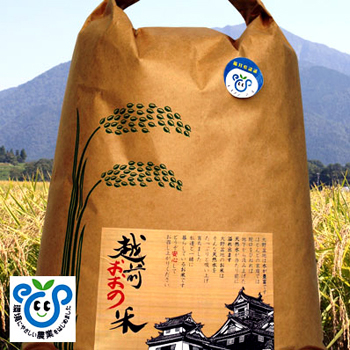 zO̕ GRt@[}[uRVqJ(5kg/15kg)v