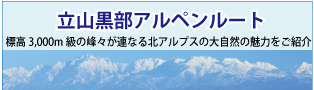 立山黒部アルペンルート