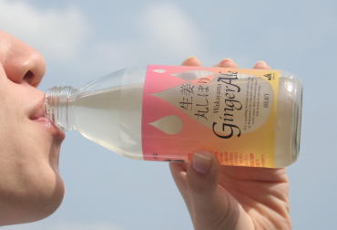 uIۂڂ Wakayama GingerAle 250ml 24{vp`̌WW[G[F킩ܔ_Ƌg