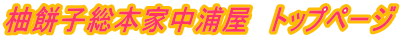 Mݎq{ƒY@gbvy[W